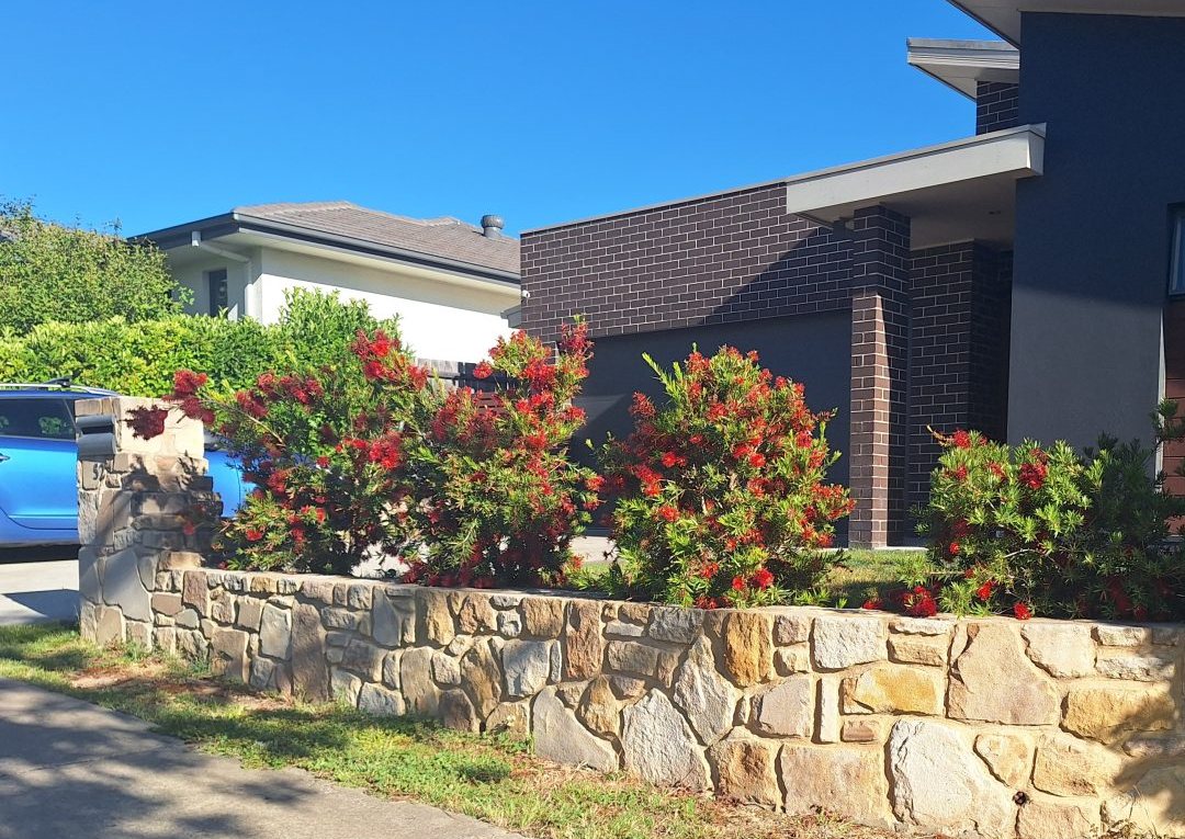 Sandstone dry-stack retaining wall and letterbox in Canberra